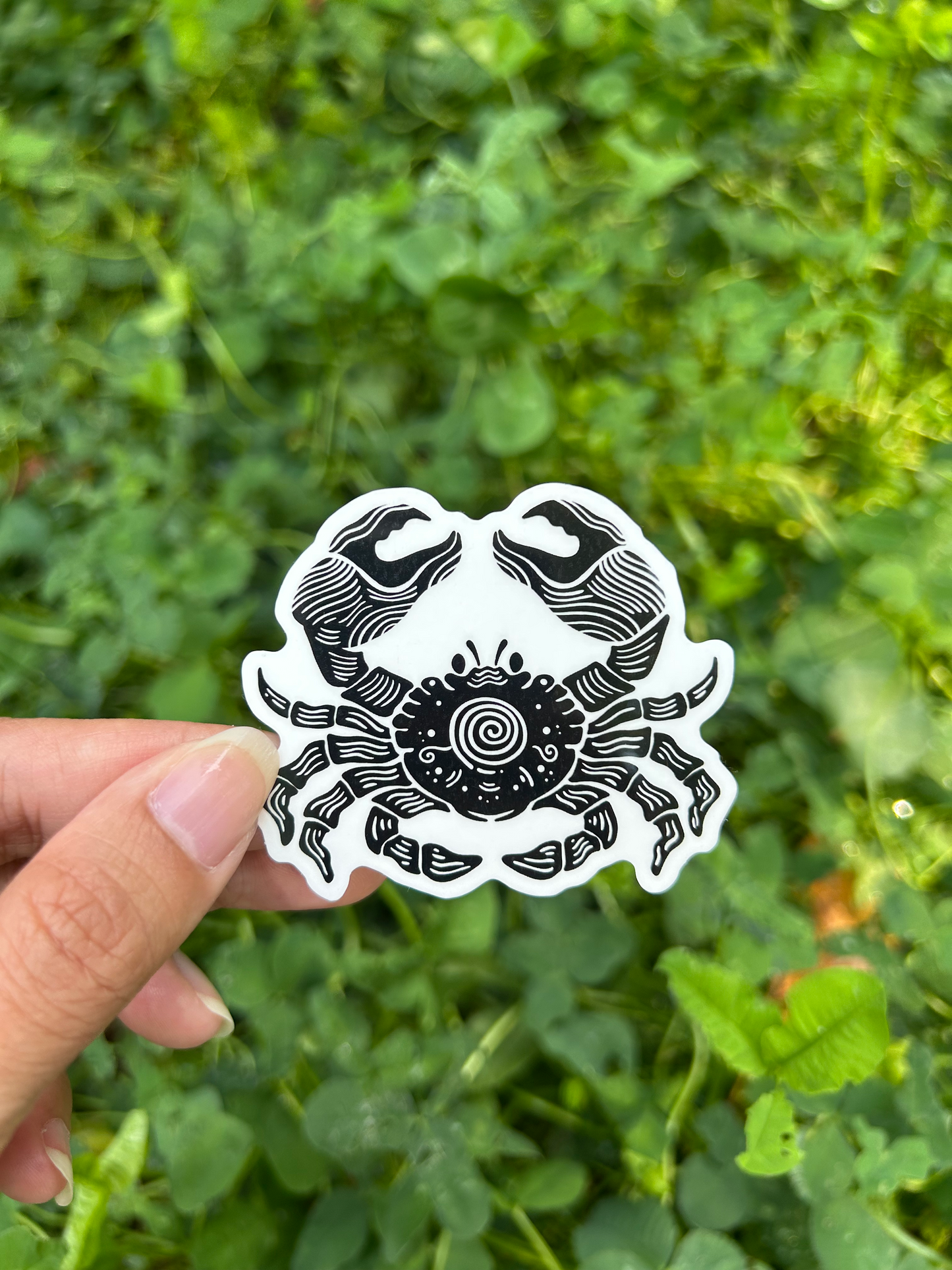 Crab Temporary Tattoo