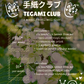 Tegami Club – Monthly Snail Mail Club